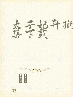 太子妃升职记全集下载