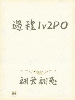 过程1v2PO