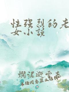 性强烈的老年妇女小说