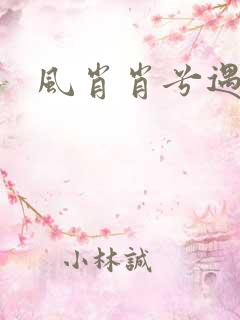 风肖肖兮遇子期