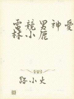 电竞男神爱上我林小鹿