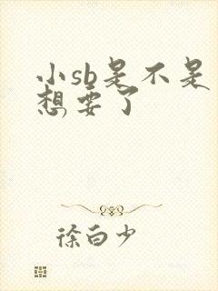 小sb是不是又想要了