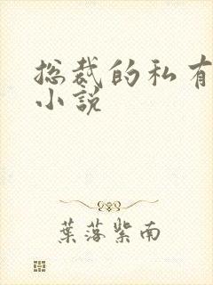 总裁的私有宝贝小说