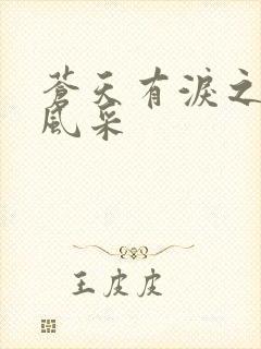 苍天有泪之军人风采