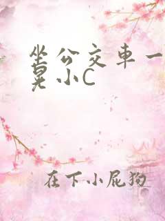 坐公交车一摇一晃小C