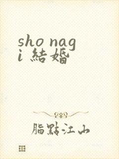 sho nagi 结婚