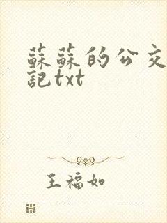 苏苏的公交车日记txt