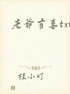 老爷有喜txt