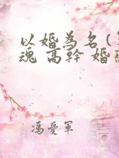以婚为名 (军魂 高干 婚恋)
