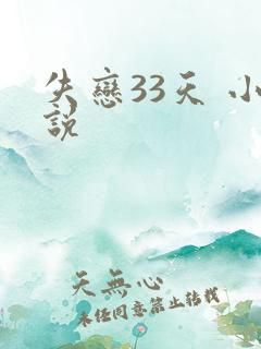 失恋33天 小说