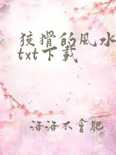 狡猾的风水相师txt下载