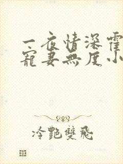 一夜情深霍先生宠妻无度小说免费阅读