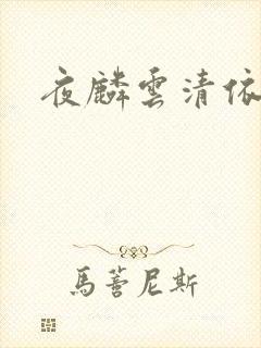 夜麟云清依小说