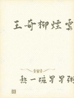 王奇柳烟云