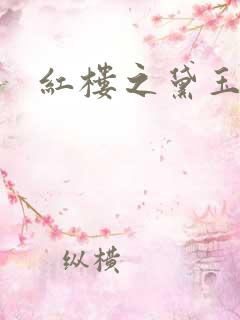 红楼之黛玉之弟