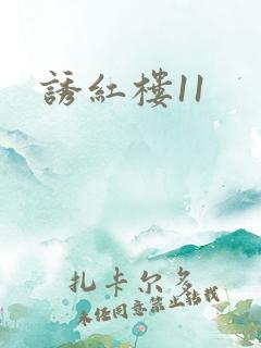 诱红楼11