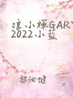 浪小辉GARY2022小蓝