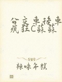 公交车后车座的疯狂C苏苏