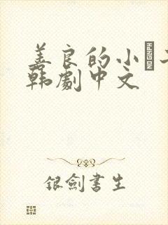 善良的小峓子2韩剧中文