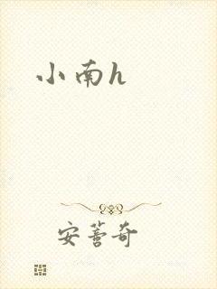 小南h