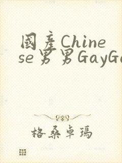国产Chinese男男GayGayAPP