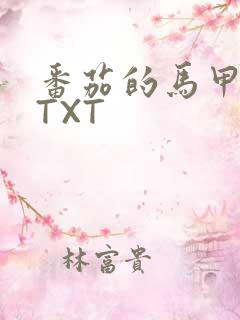 番茄的马甲小说TXT