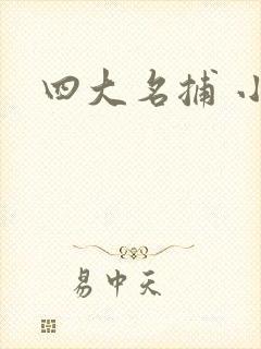 四大名捕 小说