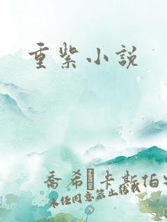 重紫小说