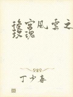 后宫风云之铿锵玫瑰