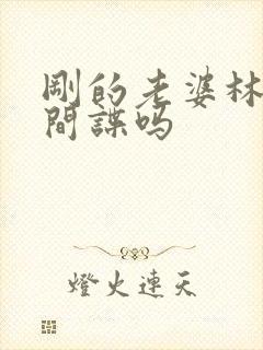 刚的老婆林彦是间谍吗