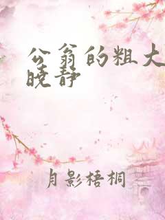 公翁的粗大放进晓静