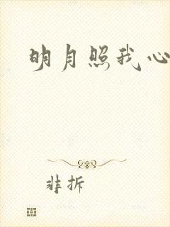 明月照我心小说
