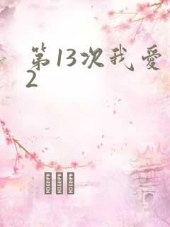 第13次我爱你2