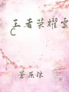 王者荣耀云缨被C