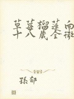 草莓榴莲向日葵十八岁全微糖