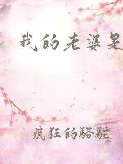 我的老婆是军阀