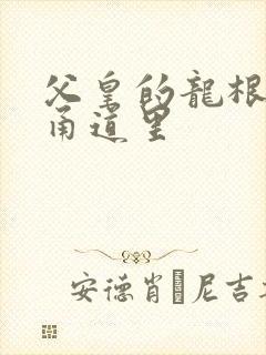 父皇的龙根在我甬道里