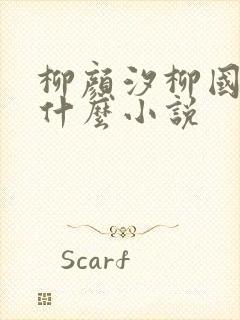 柳颜汐柳国安是什么小说