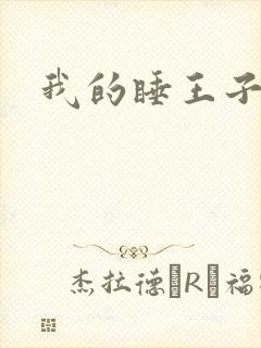 我的睡王子殿下