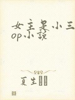 女主是小三的pop小说