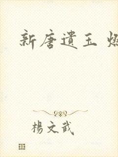 新唐遗玉 燃文