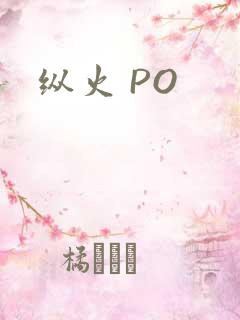 纵火 PO
