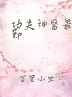 功夫神医最新章节