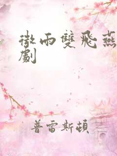 微雨双飞燕电视剧