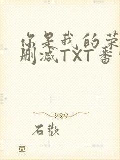 你是我的荣耀未删减TXT番外