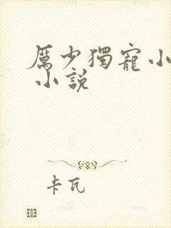 厉少独宠小娇妻 小说