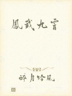 凤武九霄
