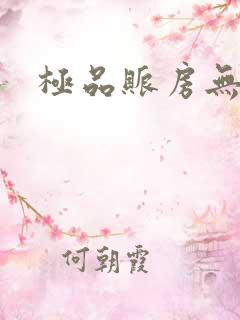 极品账房无弹窗