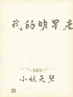 我的明星老豆