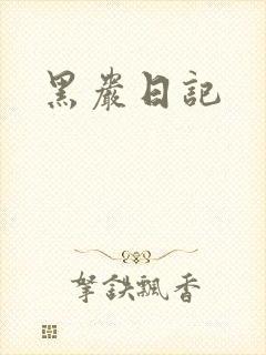 黑岩日记